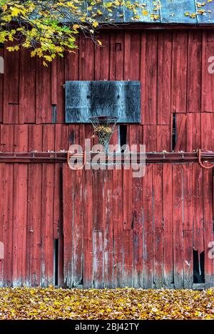 Un cerchio di basket trascurato montato su un fienile rurale rosso. Foto Stock