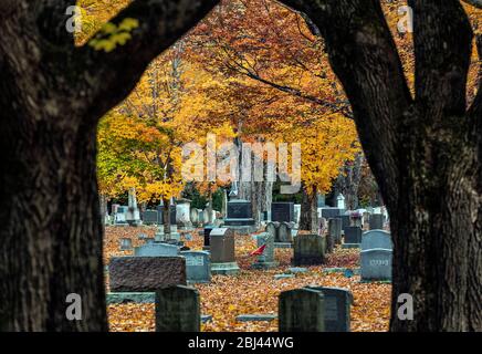 Cimitero d'autunno a Yarmouth. Foto Stock