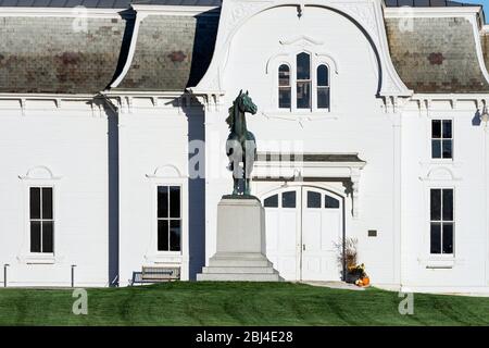 Morgan Horse Farm. Foto Stock