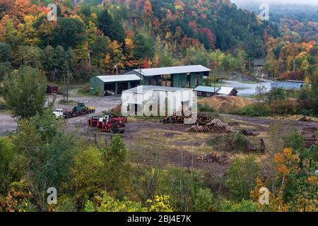 Stabilimento per l'industria del legname a Bristol, Vermont. Foto Stock