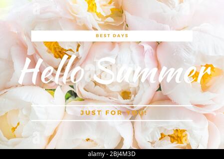 Peonie cinesi bianche Foto Stock