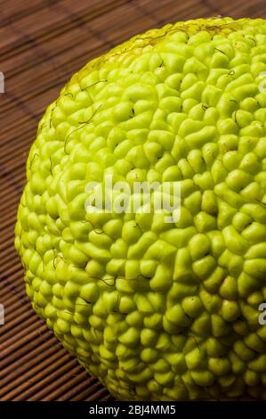 Frutta verde di maclura pomifera, osage orange, cavallo apple, adam Apple a crescere sul tappetino di bambù, macro close up Foto Stock