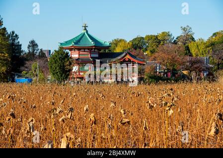 Shinobazu-no-ike Bentendo tempio nel parco Ueno a tokyo, come visto dal laghetto shinobazu Foto Stock