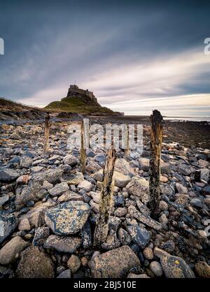 Un vecchio posto di ormeggio in legno di fronte al castello di Holy Island. Foto Stock