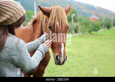 Ragazza cavallo di alimentazione sul prato Foto Stock