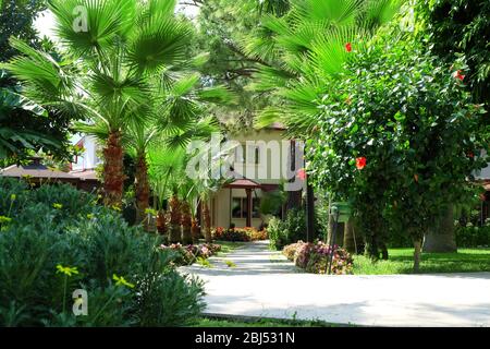 Strada nella zona dell'hotel in orario diurno. Foto Stock