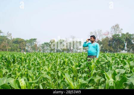 Contadino indiano che parla sul telefono mobile in campo agricolo Foto Stock