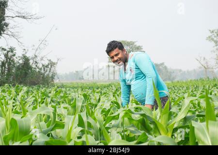 Coltivatore indiano che lavora, Bihar, India Foto Stock