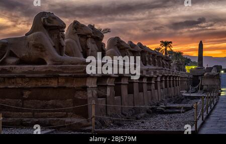 Il crepuscolo cade sopra gli sfingi, che uniscono il corpo di un leone con la testa di un ariete, che fiancheggiano l'ingresso al primo pilone del Tempio di Karnak Foto Stock