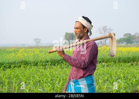 Coltivatore indiano, bihar, India Foto Stock