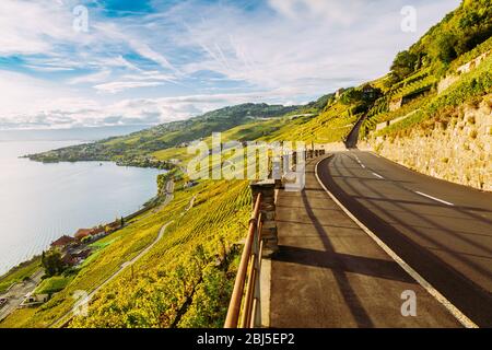 Lavaux, Svizzera: Il Lago di Ginevra e il paesaggio delle Alpi svizzere visto dalle tarraces dei vigneti di Lavaux nel Canton Vaud Foto Stock