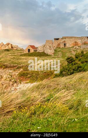 Rovine delle fortificazioni tedesche della seconda guerra mondiale sulla costa di Guernsey, Isole del canale, Regno Unito Foto Stock