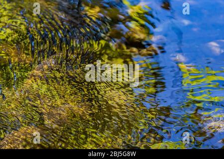 Hamma Hamma Living Legacy Trail dedicato ai risultati dei CCC Boys durante la Grande depressione, Olympic National Forest, Washington Stat Foto Stock