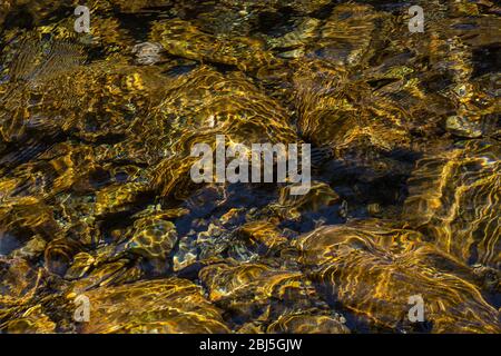 Hamma Hamma Living Legacy Trail dedicato ai risultati dei CCC Boys durante la Grande depressione, Olympic National Forest, Washington Stat Foto Stock