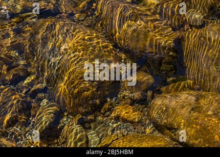 Hamma Hamma Living Legacy Trail dedicato ai risultati dei CCC Boys durante la Grande depressione, Olympic National Forest, Washington Stat Foto Stock