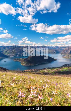 Lago d'Iseo e Montisola, provincia di Brescia, Lombardia, Italia Foto Stock