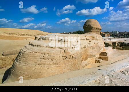 Vista posteriore di Sphinx contro un cielo molto bello. Primo piano della Sfinge egiziana in Egitto, Giza, Egitto Foto Stock