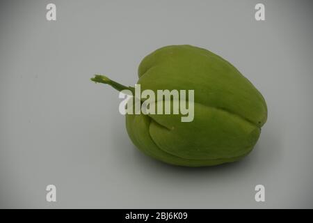 Un frutto di caya germogliante acquistato in Oregon. Chayote è una gustosa zucca commestibile proveniente dal Centro e Sud America Foto Stock