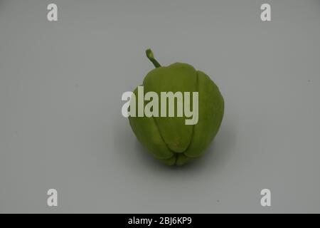 Un frutto di caya germogliante acquistato in Oregon. Chayote è una gustosa zucca commestibile proveniente dal Centro e Sud America Foto Stock