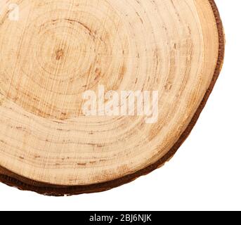 Fetta di legno rotonda, isolata su bianco Foto Stock