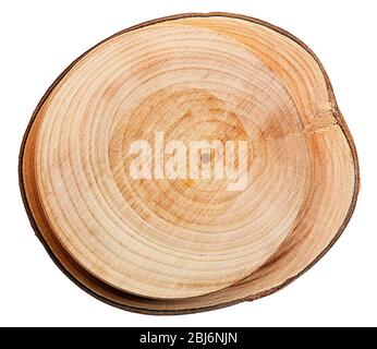 Fetta di legno rotonda, isolata su bianco Foto Stock