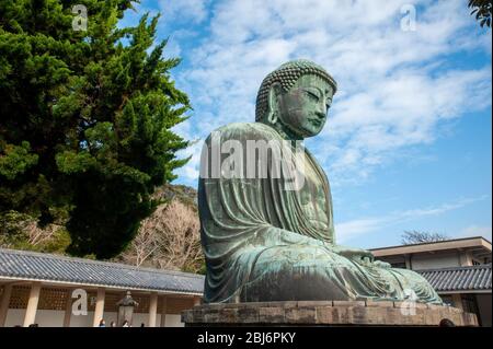 Il Grande Buddha di Kamakura, la seconda statua di Buddha di bronzo più alta del Giappone Foto Stock