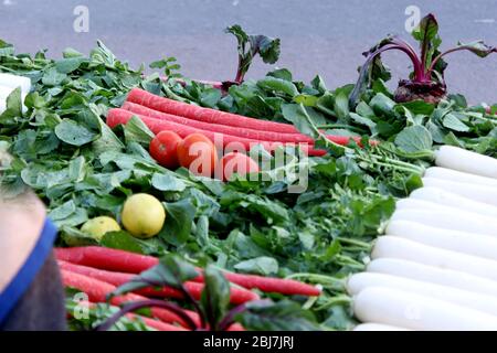 orto all'aperto con carote, pomodoro, barbabietola e ravanello, tutti decorati con foglie verdi Foto Stock