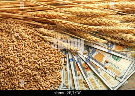Banconote in dollari e grani di grano. Concetto di reddito agricolo Foto Stock