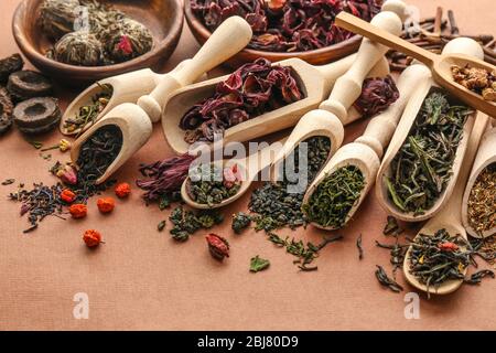 Diversi tipi di tè presentati nei cucchiai e cucchiai di legno, primo piano Foto Stock