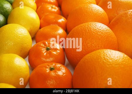 Variopinto agrumi misti ordinati e allineati in file, primo piano Foto Stock
