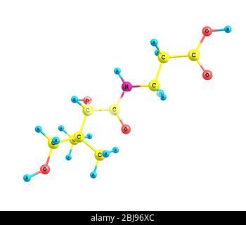 L'acido pantotenico (vitaminni B5 o pantotenato) è una vitamina solubile in acqua. Per molti animali, l'acido pantotenico è un nutriente essenziale. Foto Stock