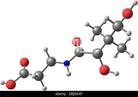L'acido pantotenico (vitaminni B5 o pantotenato) è una vitamina solubile in acqua. Per molti animali, l'acido pantotenico è un nutriente essenziale. Foto Stock