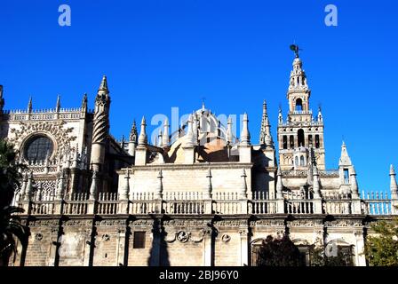 Cattedrale di Santa Maria della See (Catedral de Santa Maria de la Sede) e la torre la Giralda, Siviglia, provincia di Siviglia, Andalusia, Spagna, Europa. Foto Stock