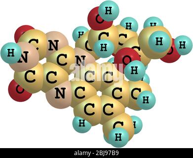 La riboflavina (vitamina B2) è un micronutriente colorato facilmente assorbito, con un ruolo chiave nel mantenimento della salute negli esseri umani e in altri animali. Foto Stock