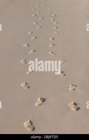 Impronte nella spiaggia di sabbia, lunga strada in duna. Bella spiaggia tropicale sabbiosa, Foto Stock
