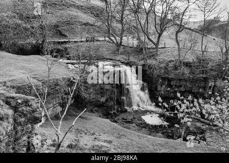 Inizio primavera alla East Gill Force Unbelow Keld, Swaledale, North Yorkshire, Inghilterra, Regno Unito. Versione in bianco e nero Foto Stock