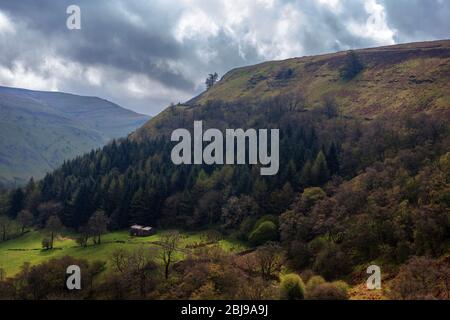 Swaledale a Kisdon lato da Beldi Hill sotto Keld, North Yorkshire, Inghilterra, Regno Unito Foto Stock