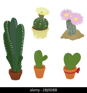 Set di piante Cactus. Piante domestiche in pentole. Illustrazione vettoriale floreale isolata su sfondo bianco. Cactus con fiori. Piante di POT. Cute cactus vettoriale Illustrazione Vettoriale