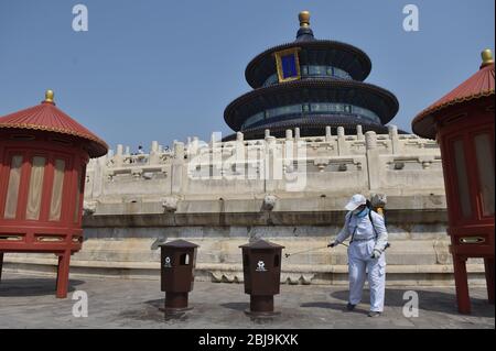 Pechino, Cina. 29 aprile 2020. Un membro dello staff disinfetta un cestino di rifiuti di fronte alla Sala di preghiera per i buoni raccolti al Tempio del Paradiso di Pechino, capitale della Cina, 29 aprile 2020. Il Tempio del Paradiso, un sito patrimonio mondiale dell'UNESCO temporaneamente chiuso a causa dell'epidemia di COVID-19, ha riaperto i suoi tre gruppi principali edificio al pubblico il mercoledì. I terreni riaperti, vale a dire la Sala di preghiera per la buona raccolta, la volta imperiale del cielo e l'altare circolare della Mound, sono accessibili da un numero limitato di visitatori tramite prenotazione online. Credit: Peng Ziyang/Xinhua/Alamy Live News Foto Stock