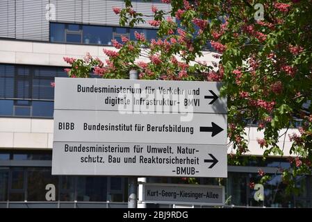 26 aprile 2020, Renania settentrionale-Vestfalia, Bonn: Indicazione per le autorità e i ministeri di Bonn Foto: Horst Galuschka/dpa/Horst Galuschka dpa Foto Stock