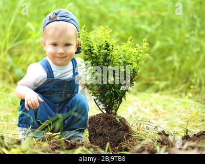 Bambino carino ragazzo piantando albero in giardino Foto Stock