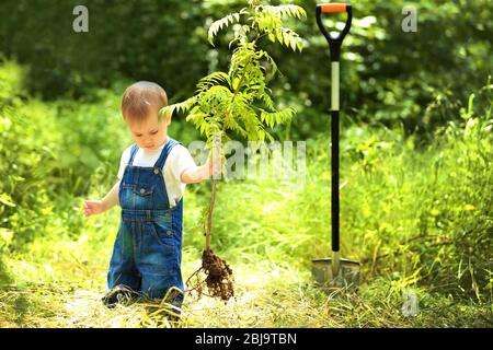 Bambino carino ragazzo piantando albero in giardino Foto Stock
