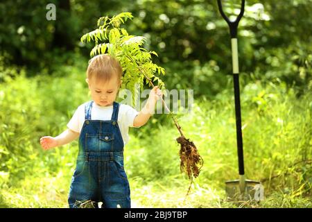 Bambino carino ragazzo piantando albero in giardino Foto Stock