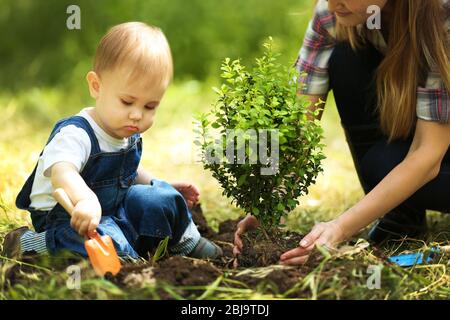 Bambino carino ragazzo piantando albero con il genitore in giardino Foto Stock