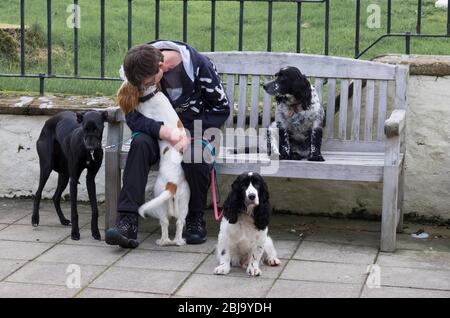 un amante del cane Foto Stock