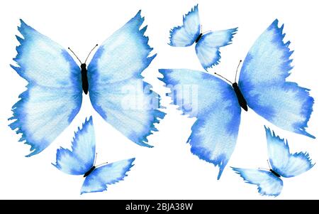 blu farfalla set isolato su sfondo bianco, acquerello illustrazione con farfalle dipinte a mano Foto Stock