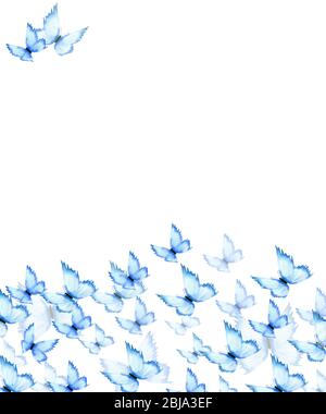 sfondo blu farfalle, acquerello illustrazione con decorazione a farfalla dipinta a mano per la carta Foto Stock
