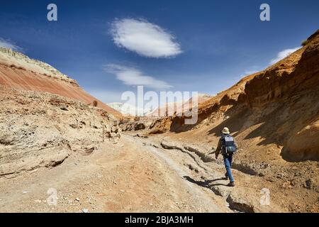 Turistico con zaino e fotocamera a camminare in luoghi polverosi canyon su surreale monti rossi contro il cielo blu nel deserto Foto Stock