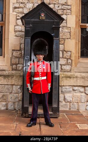 Guardsman in pelle di portico in piedi in servizio fuori della sua scatola di sentry in servizio alla Torre di Londra (UNESCO) un palazzo reale storico, Londra, Inghilterra, Regno Unito Foto Stock