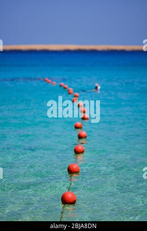 Boe rosse che galleggiano nelle acque blu limpide dell'isola di Giftun vicino a Hurghada, costa del Mar Rosso, Egitto Foto Stock